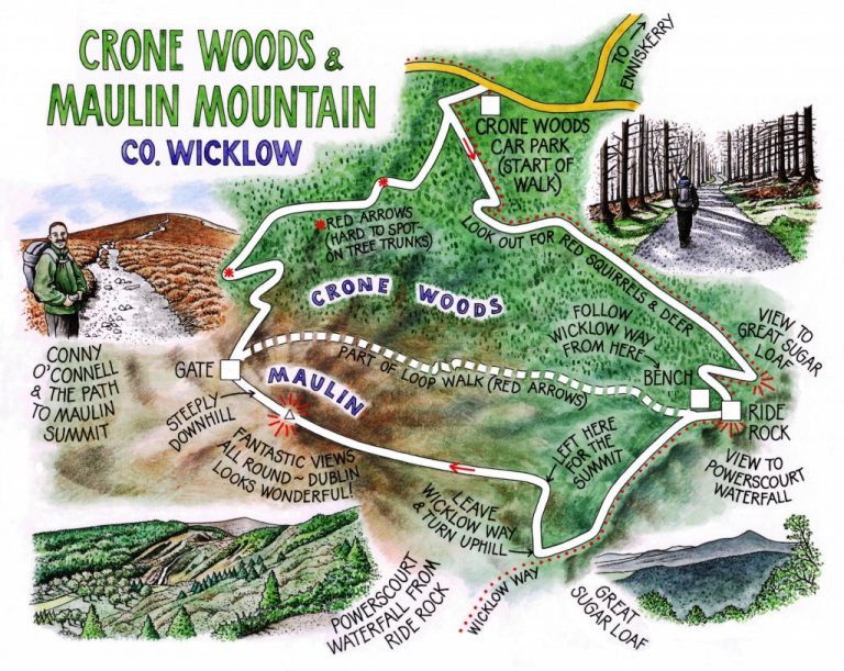 13 Crone Woods and Maulin Mountain