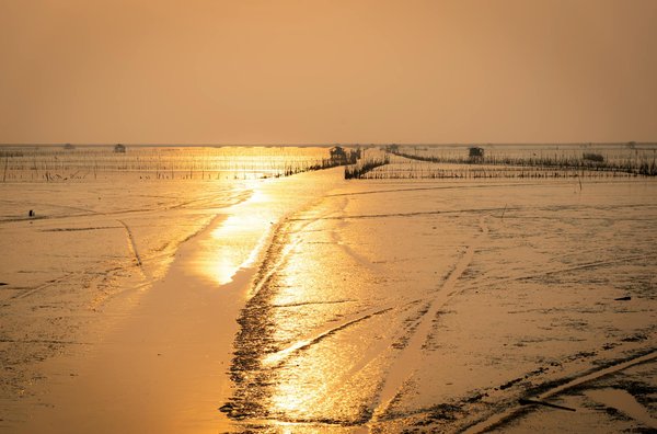 Discover the top uk literary heritage tours: dive into britain's rich literary history