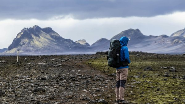 Discover how to capture stunning wildlife photos in the uk's national parks