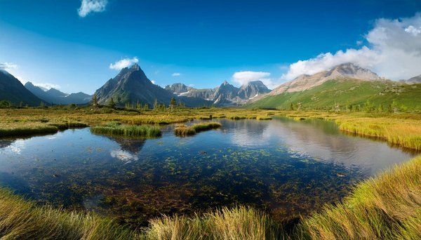 Discover the rich rail heritage of britain: top uk cruises for history enthusiasts