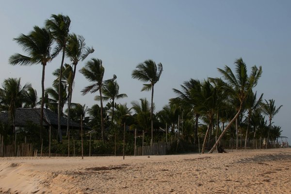 Unveiling york's secrets: budget-friendly adventures amidst historic marvels