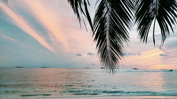 Explore beaujolais : unveiling wines, traditions, and wonders